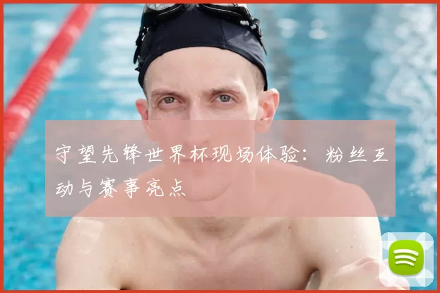 守望先锋世界杯现场体验：粉丝互动与赛事亮点