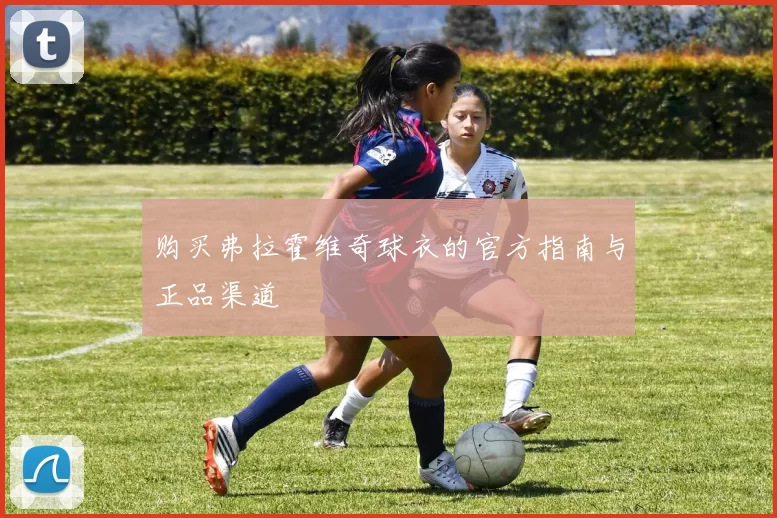 购买弗拉霍维奇球衣的官方指南与正品渠道