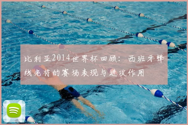 比利亚2014世界杯回顾:西班牙锋线老将的赛场表现与进攻作用