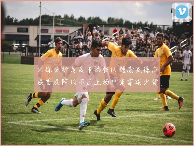 火媒分析乌度卡执教问题谢泼德应成首发阿门不应上场申京需减少背打次数