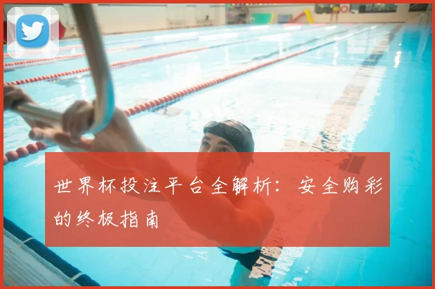 世界杯投注平台全解析:安全购彩的终极指南