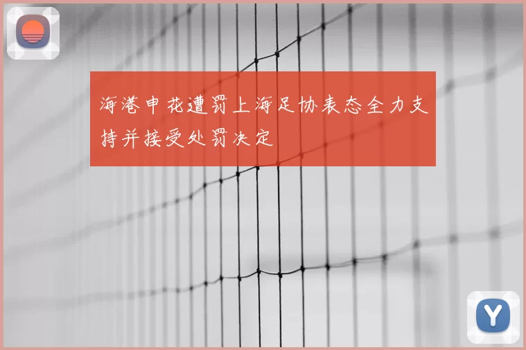 海港申花遭罚上海足协表态全力支持并接受处罚决定