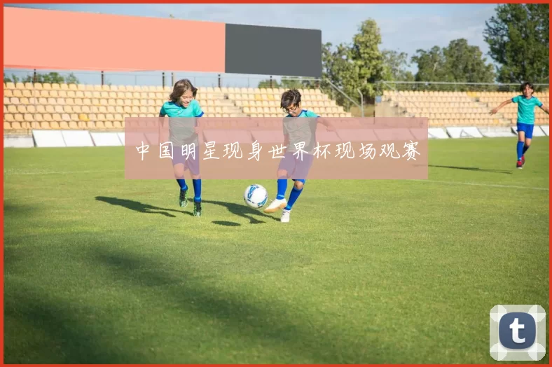 中国明星现身世界杯现场观赛