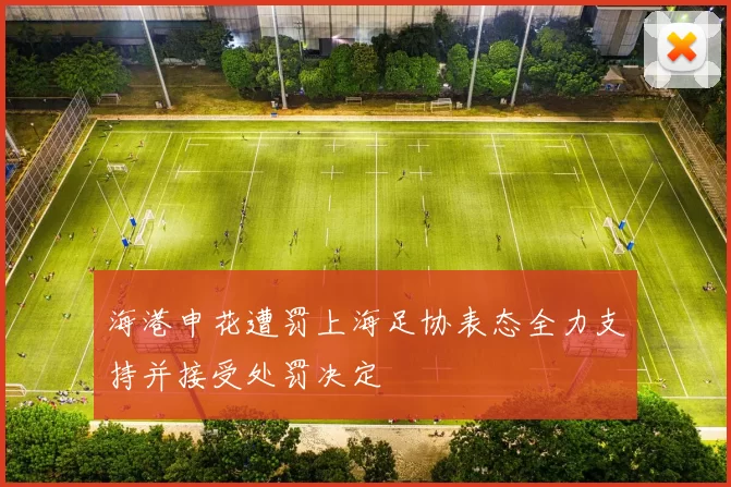 海港申花遭罚上海足协表态全力支持并接受处罚决定