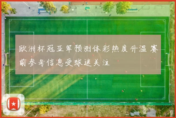 欧洲杯冠亚军预测体彩热度升温 赛前参考信息受球迷关注
