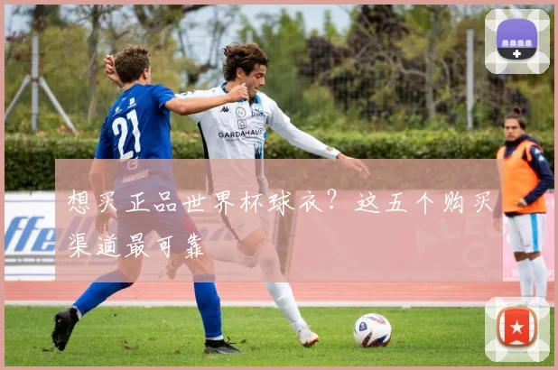想买正品世界杯球衣?这五个购买渠道最可靠