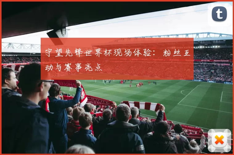 守望先锋世界杯现场体验:粉丝互动与赛事亮点