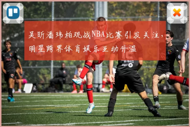 吴昕潘玮柏观战NBA比赛引发关注,明星跨界体育娱乐互动升温