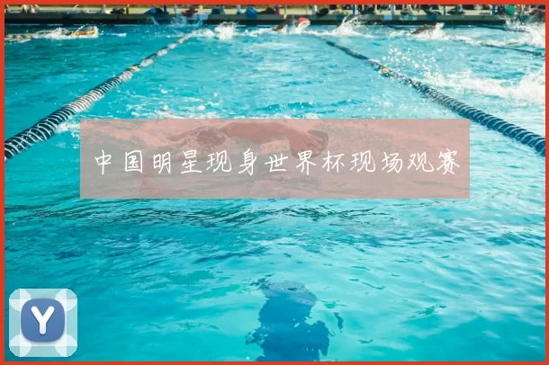 中国明星现身世界杯现场观赛